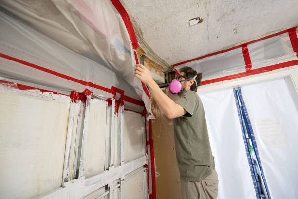 Reliable East Bakersfield, CA Mold Removal Solutions