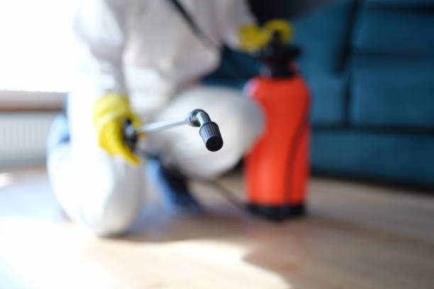 Best Biohazard Mold Removal  in East Bakersfield, CA