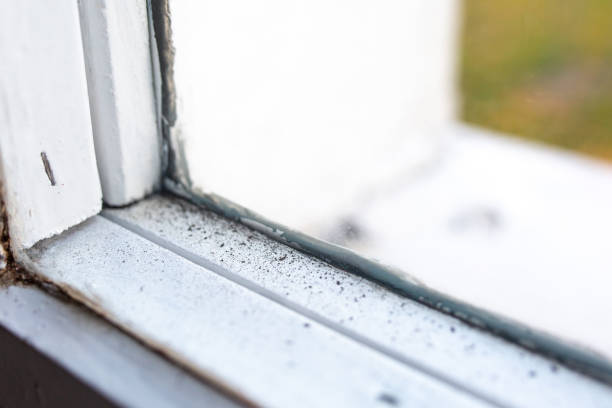 Best Indoor Air Quality Assessment  in East Bakersfield, CA