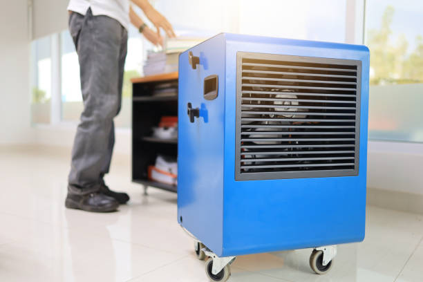 Best Airborne Mold Testing  in East Bakersfield, CA