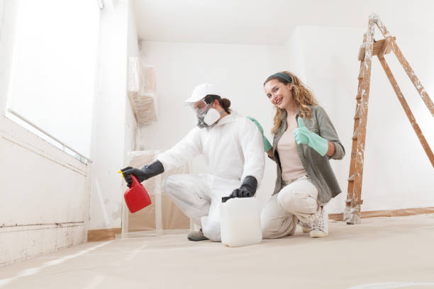 Environmental Consulting for Mold Prevention in East Bakersfield, CA