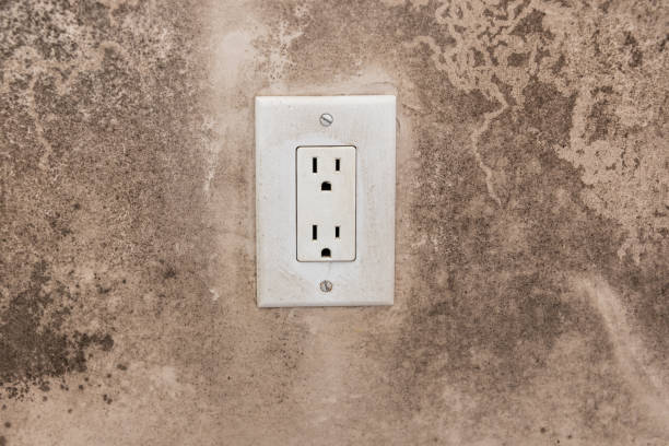 Best Post-Construction Mold Inspection  in East Bakersfield, CA