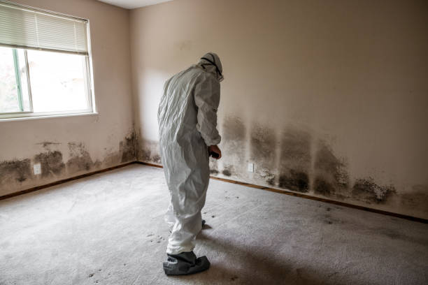 Best Air Quality Testing for Mold Spores  in East Bakersfield, CA